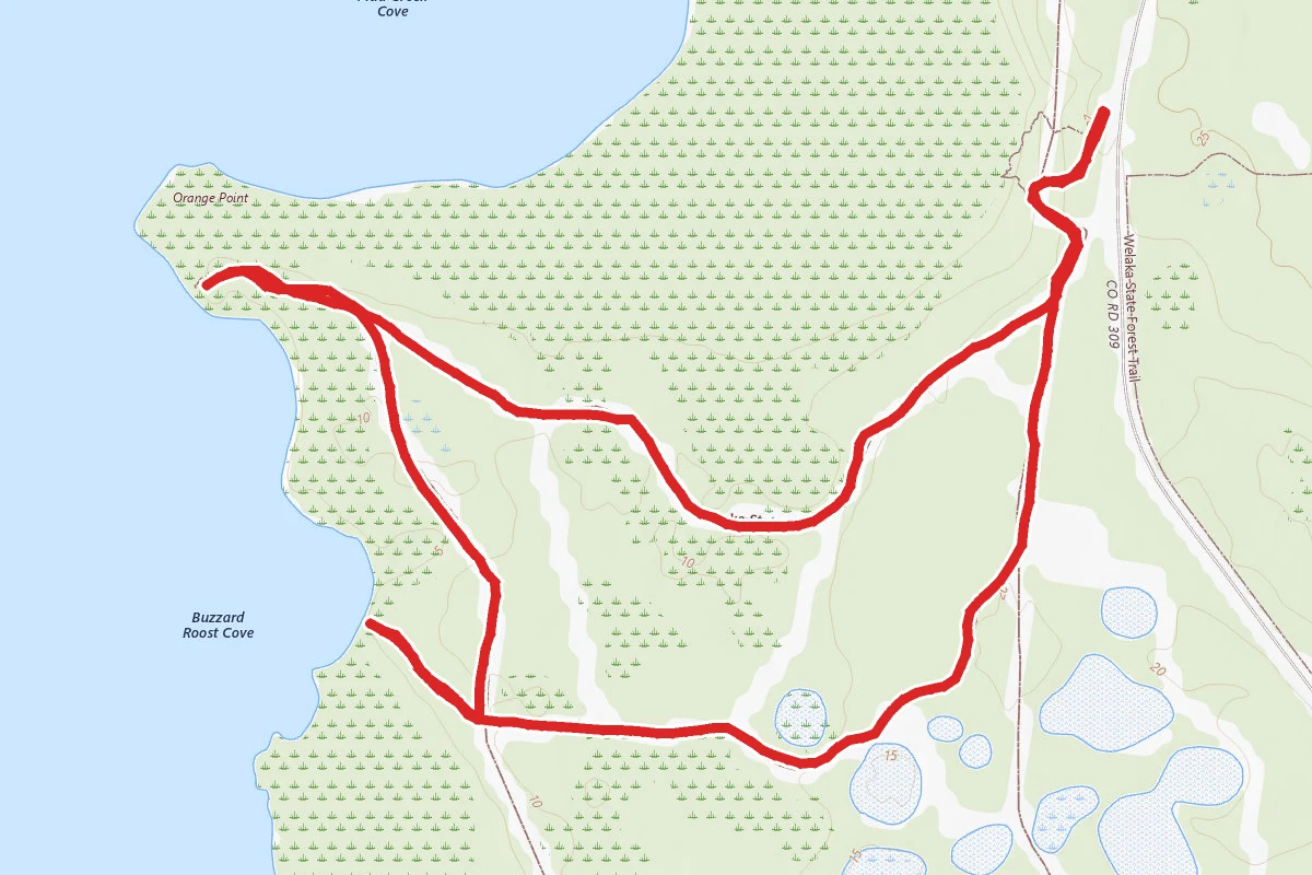 Welaka State Park to Orange Point Loop Trail