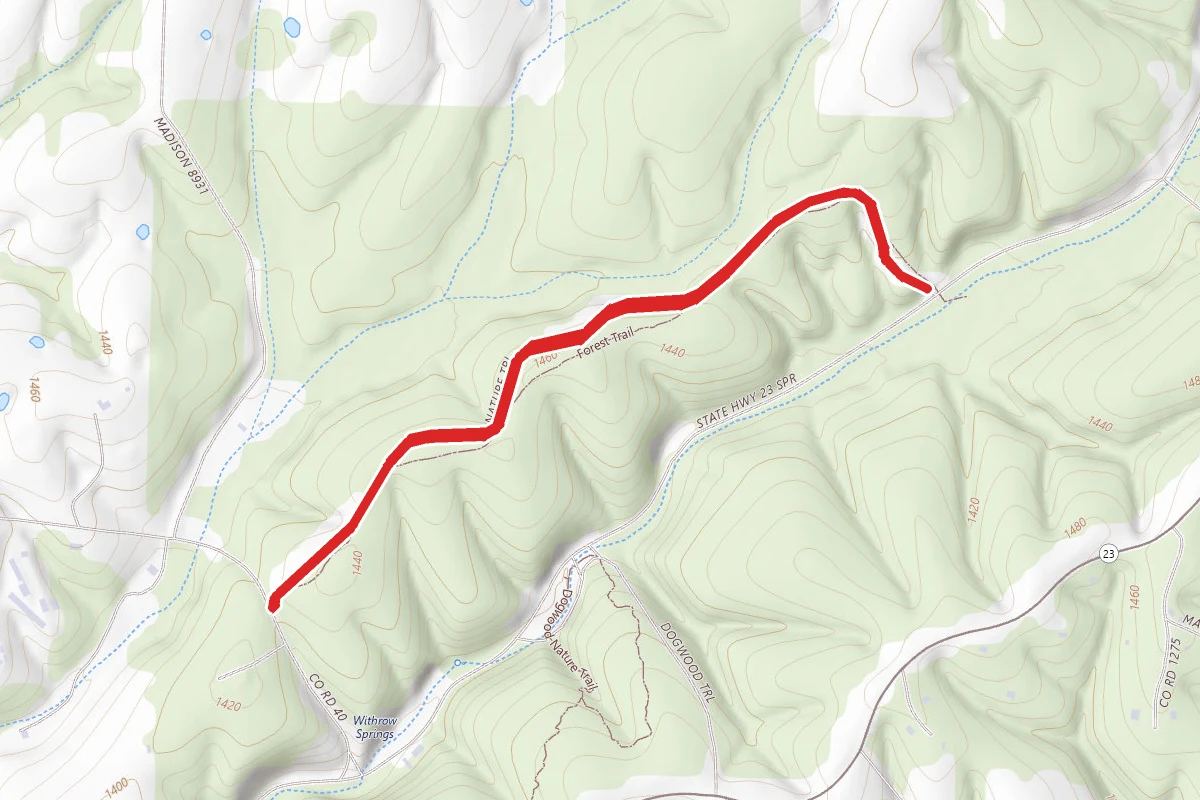 Withrow Springs Forest Trail