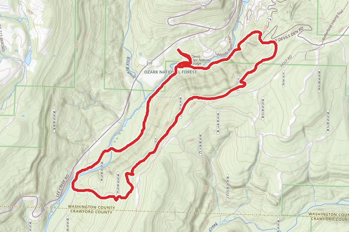 Gorley King Trail