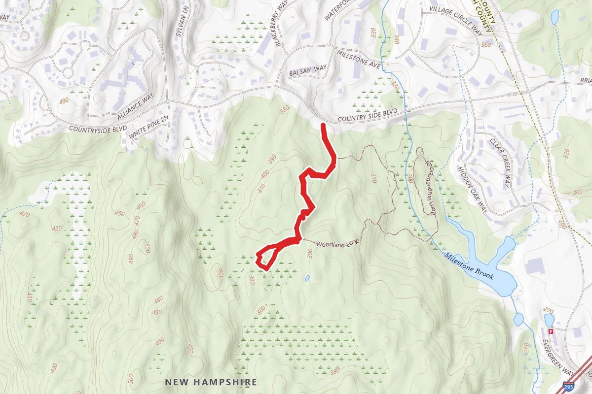 Cedar Loop Trail