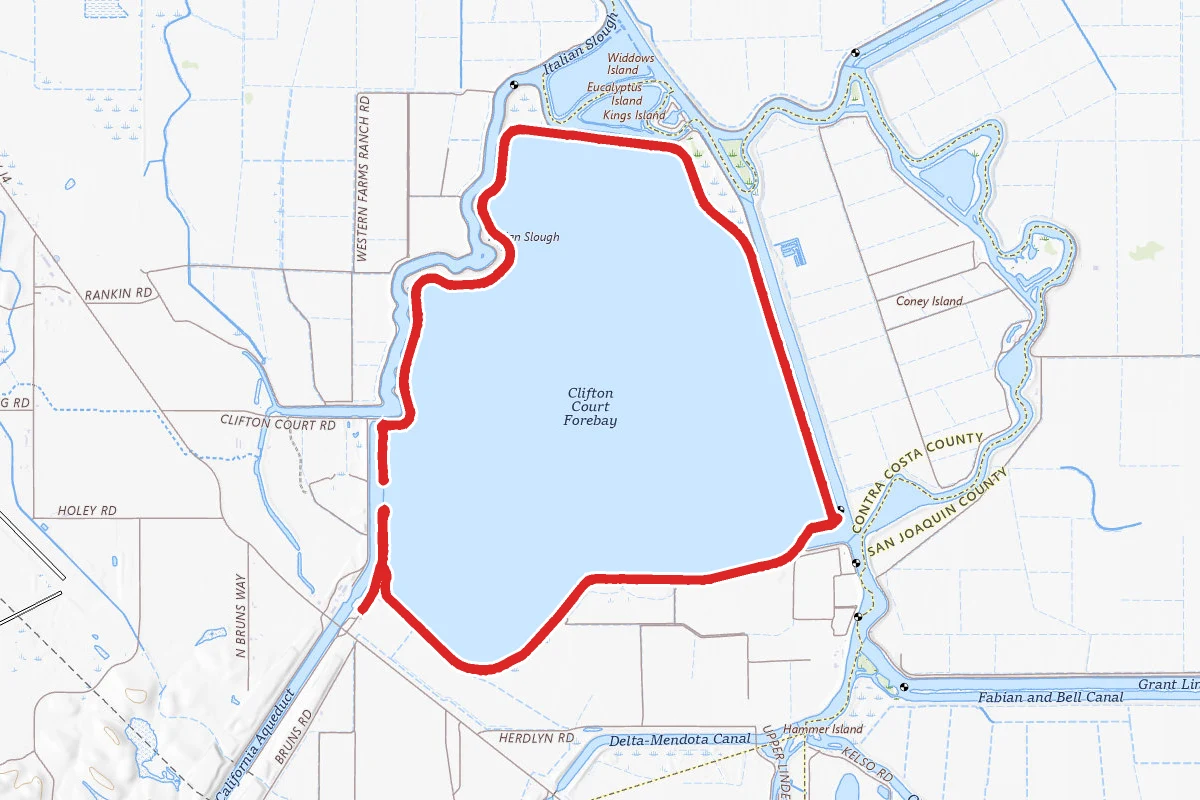 Clifton Court Forebay Trail