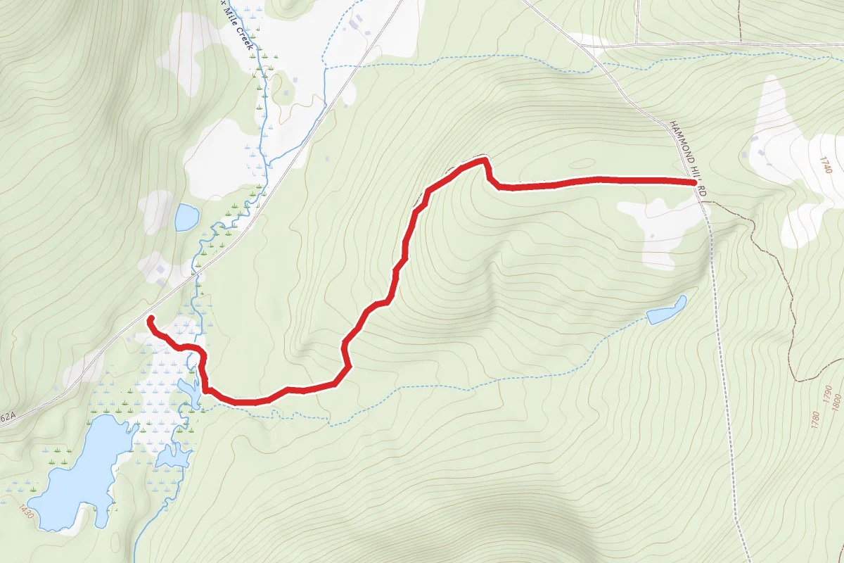Roy H. Park Preserve Trail