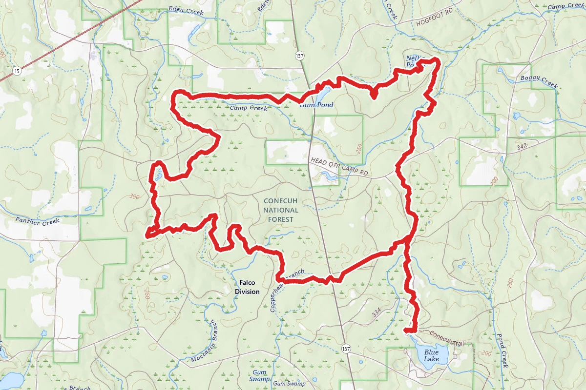 Conecuh North Loop Trail