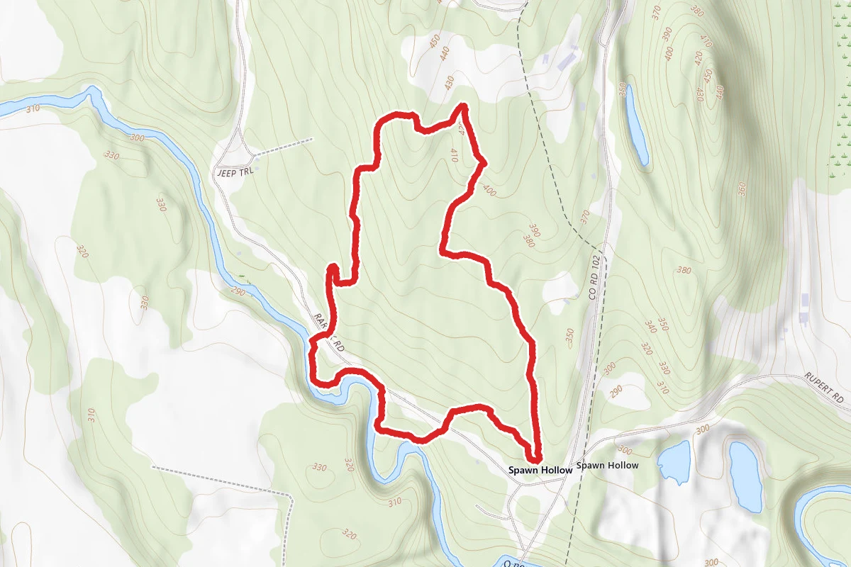 Hollyhock Hollow Sanctuary