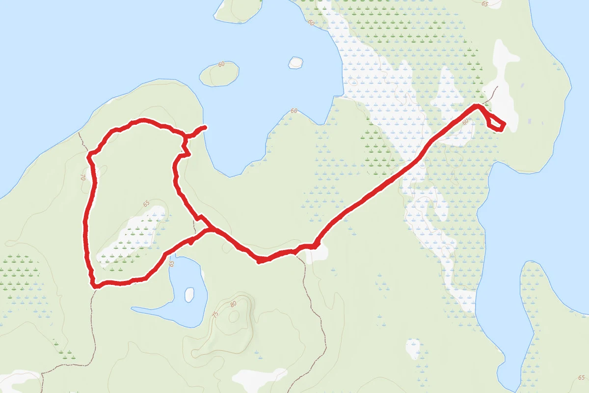 Blue and Lake Trails