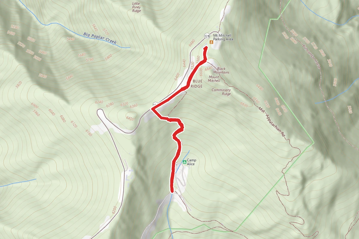 Camp Alice Trail