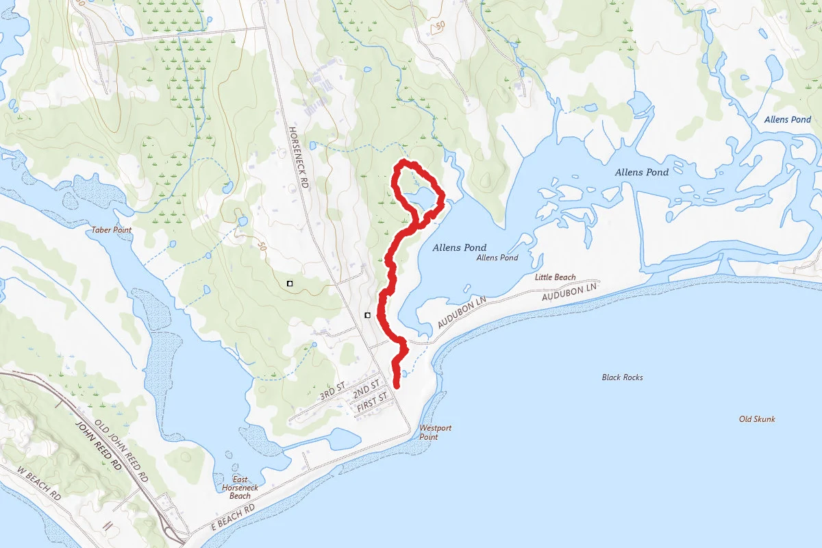 Quansett and Fresh Pond Trails