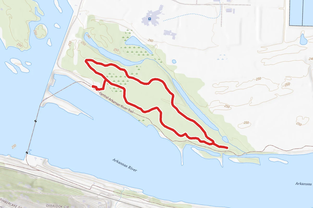 Pfeifer Loop