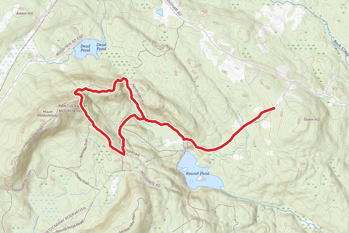 Pawtuckaway Overlook Loop
