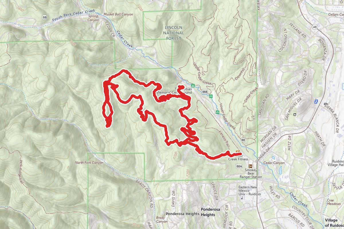 Trail 121 B and Fuel Wood Road Loop