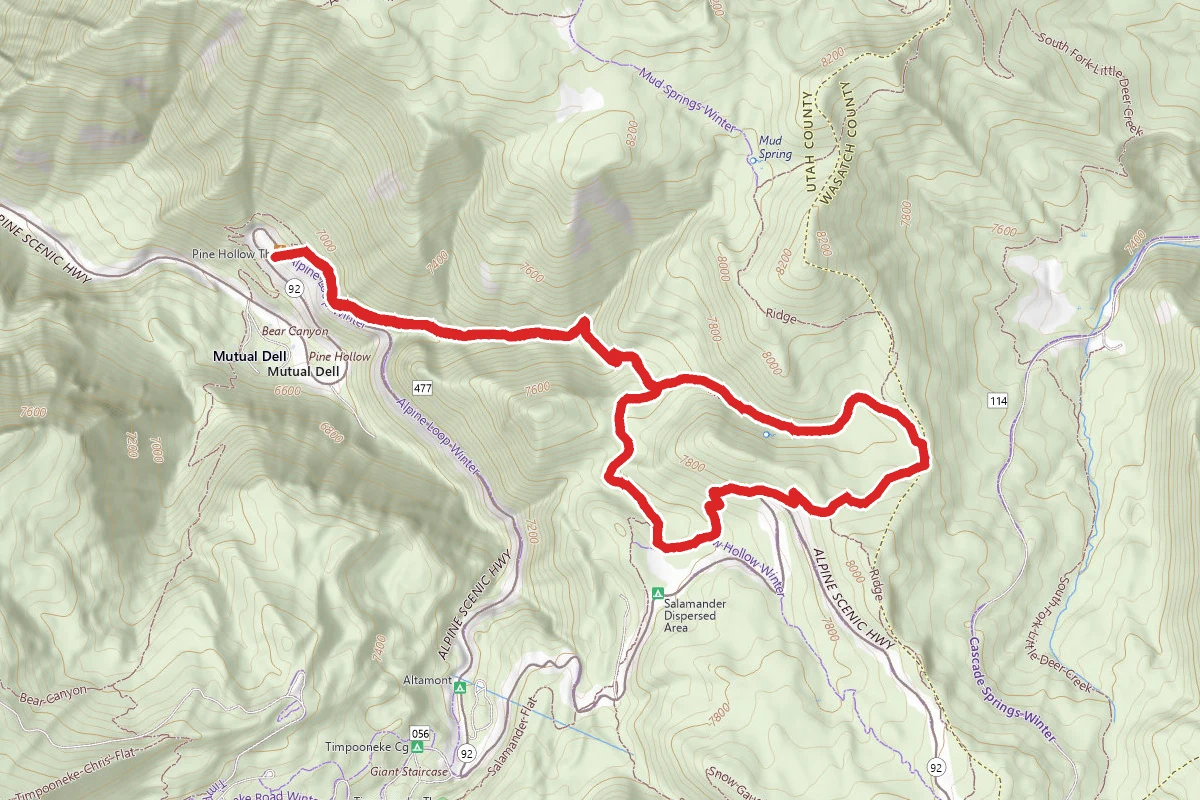 Pine Hollow Trail