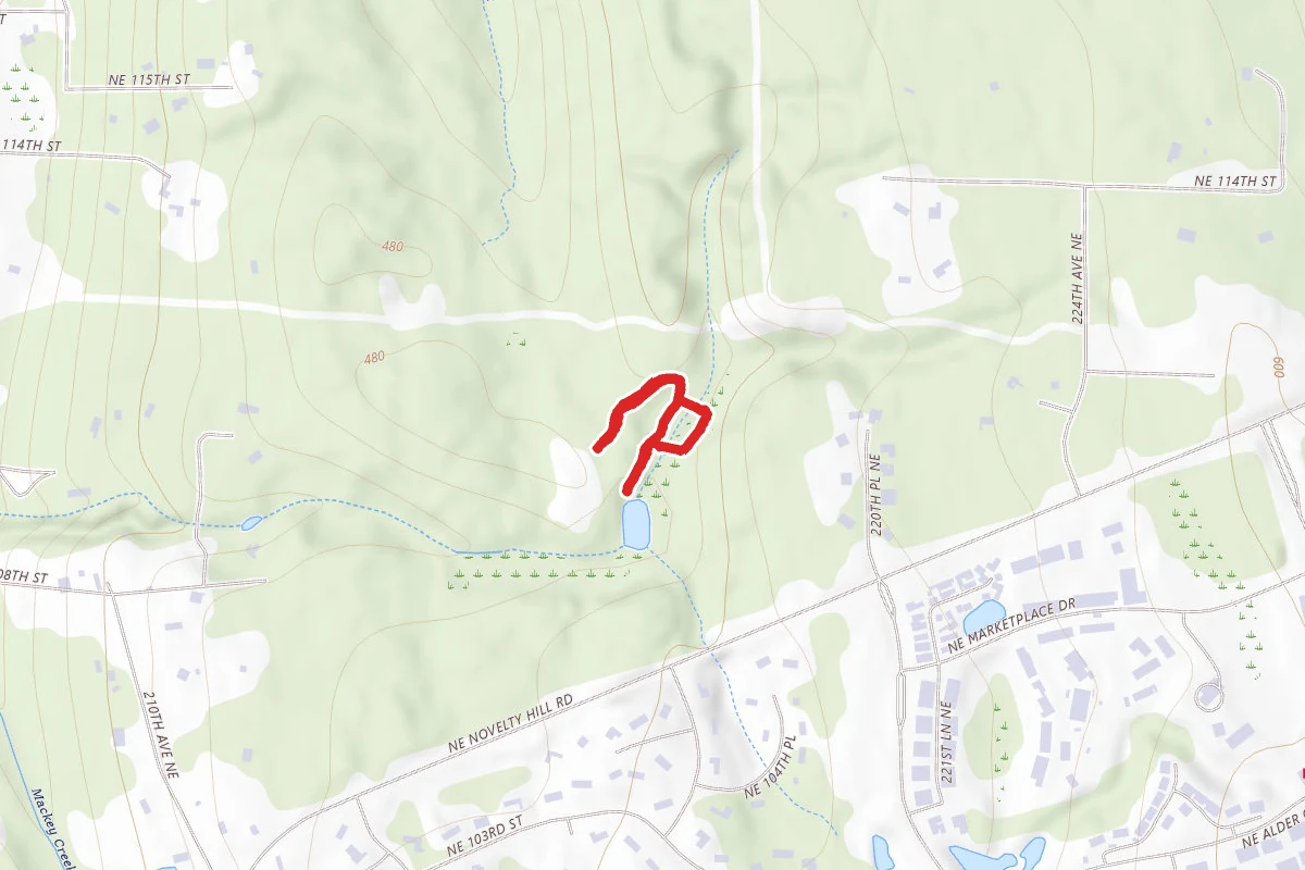 Tree Frog Loop Trail