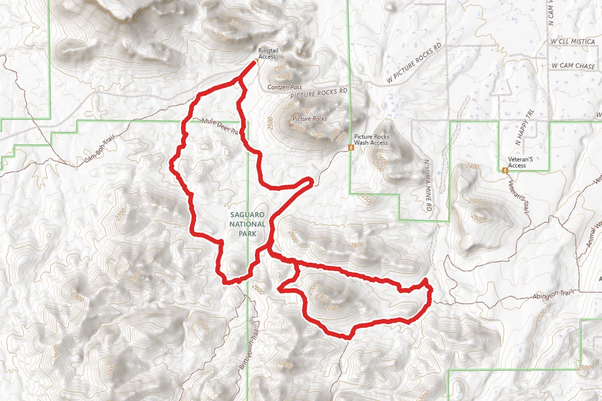 Coyote Pass Loop Trail