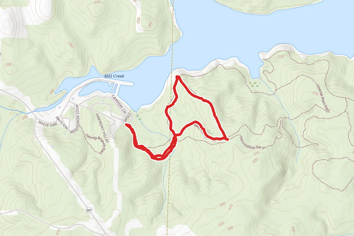 Beech Ridge Trail