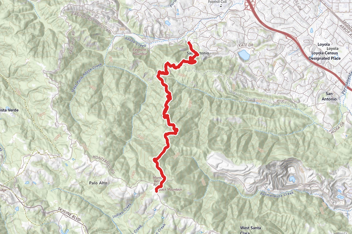 Black Mountain via Rhus Ridge