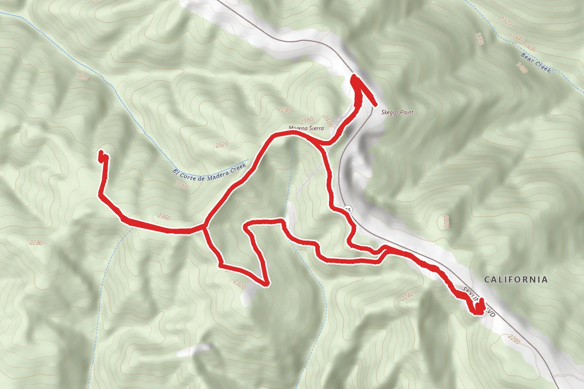 Fir Trail to Methuselah Trail to Sierra Morena Trail Loop