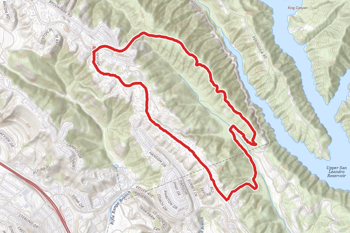 Brandon Trail, Macdonald Trail, and Skyline Boulevard Trail Loop