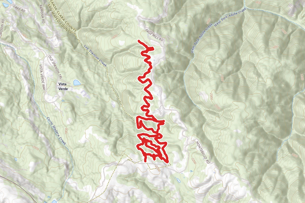 Los Trancos Loop