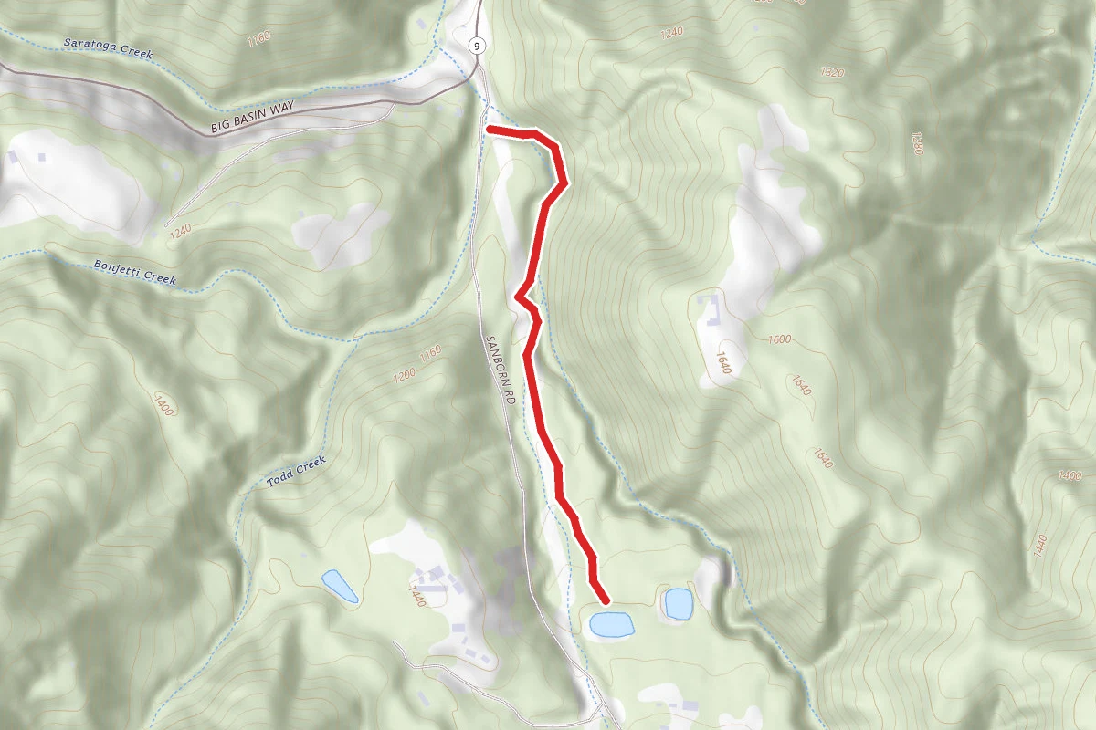 Sanborn Creek Trail