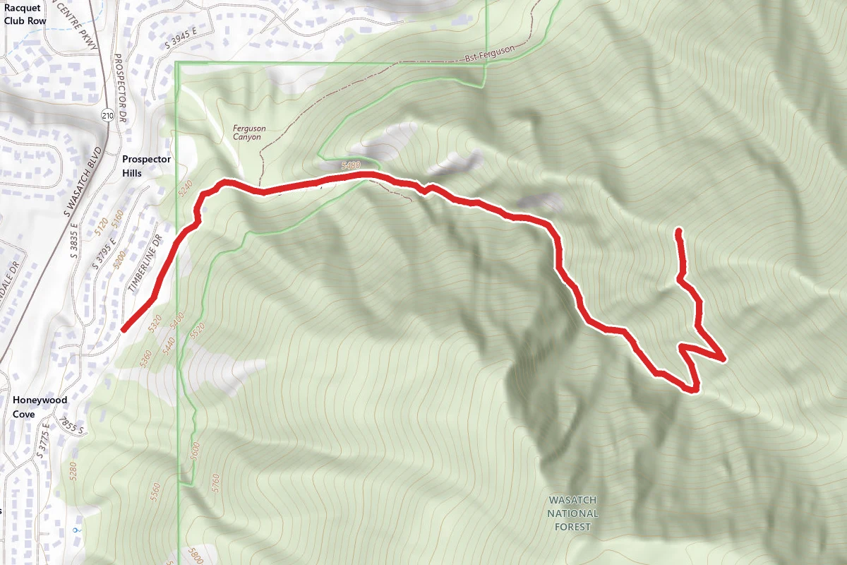 Ferguson Canyon View Point