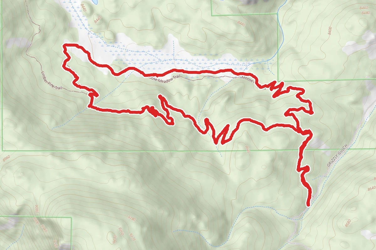 Moose Meadows and Limber Pine