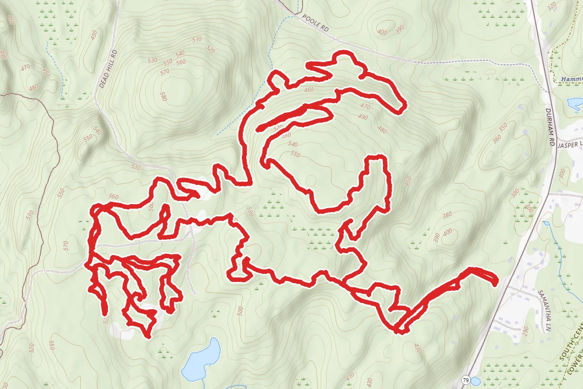 East Loop, Mary's Ghost, Dirt Church, Bambi and Erratica Loop
