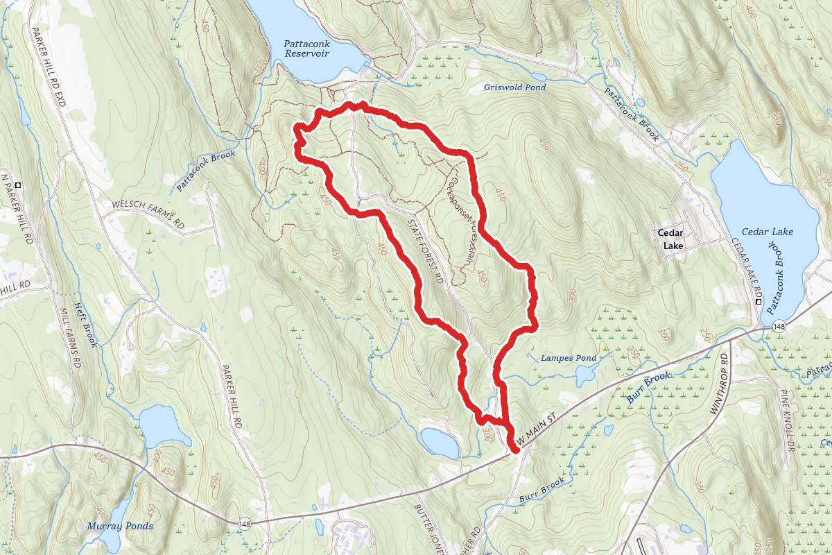 Cockaponset State Forest Road Loop Trail