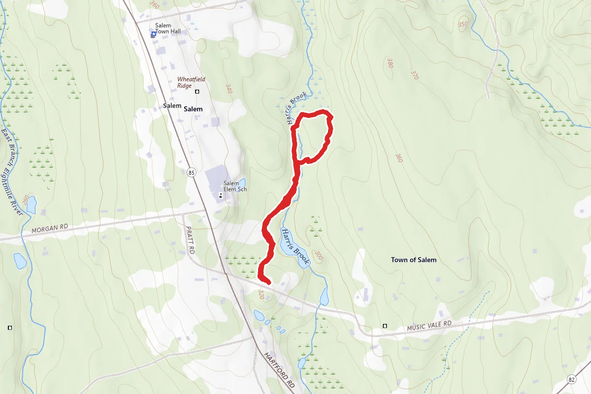 Salem Nature Trail
