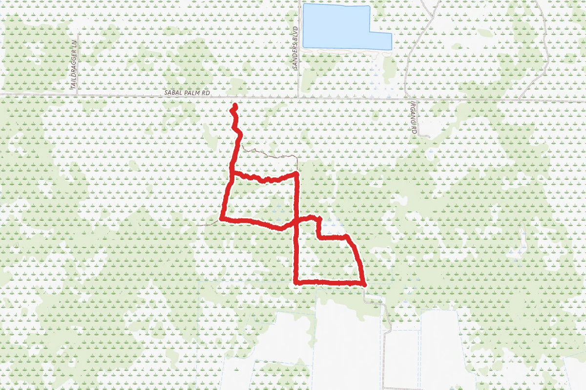 Sabal Palm Trail