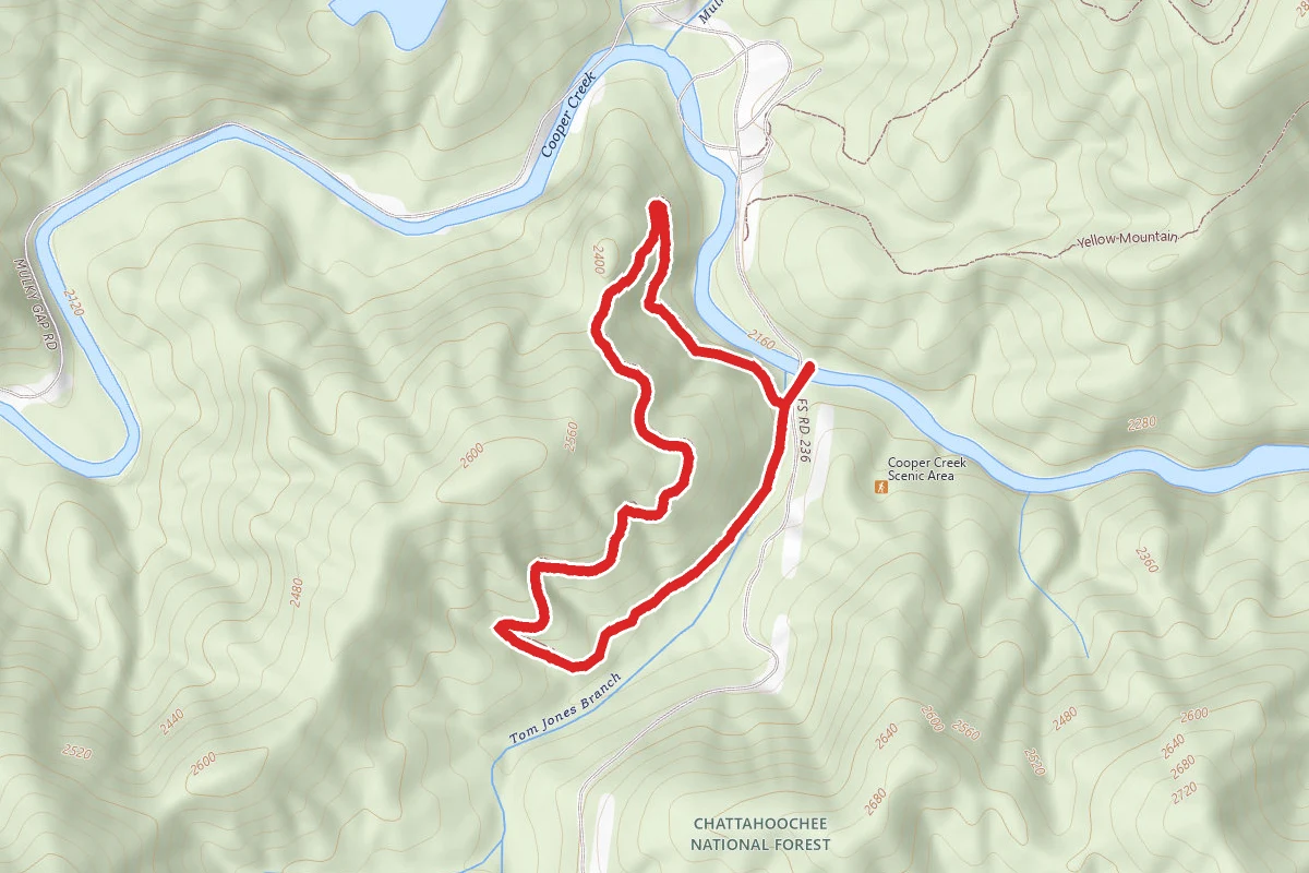 Cooper Creek Trail