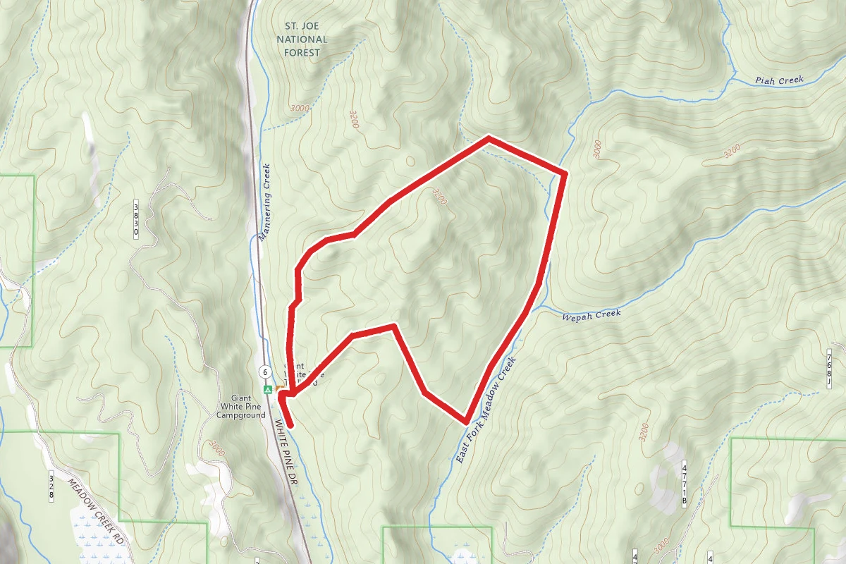White Pine National Recreation Trail
