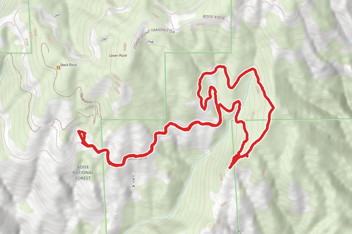 Snowshoe Hare Loop via Ponderosa Pine Overlook