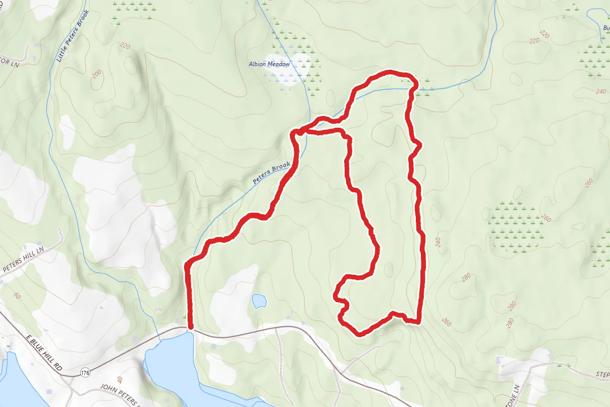 Penny’s Preserve via Peter's Brook Trail