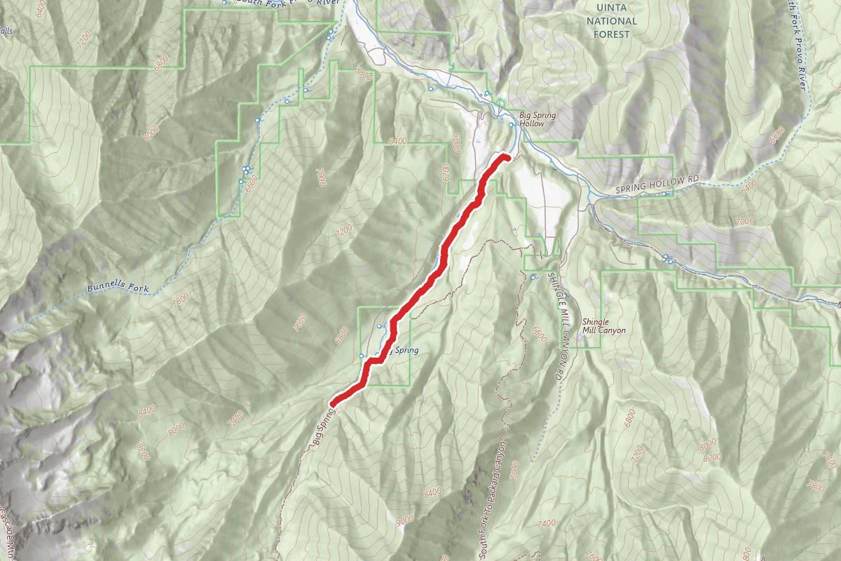 Big Springs Hollow Trail
