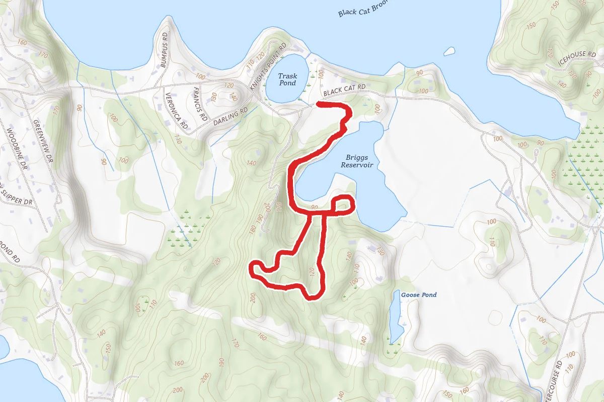 Black Cat Preserve Trail