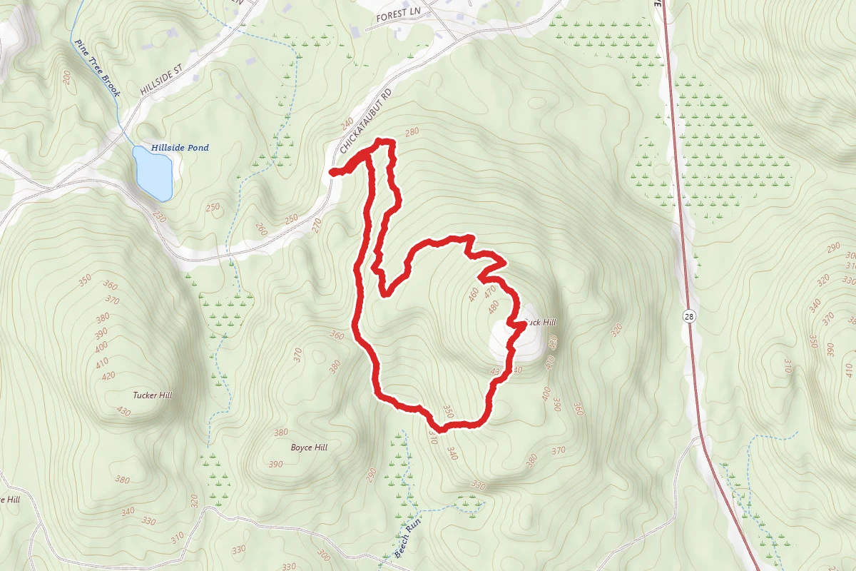 Buck Hill and Doe Hollow Path