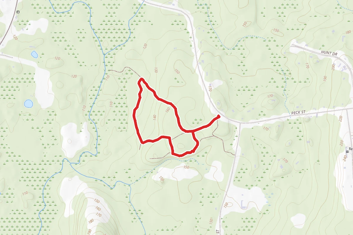 Pine Loop Trail