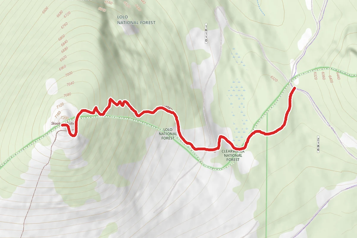 Skookum Butte