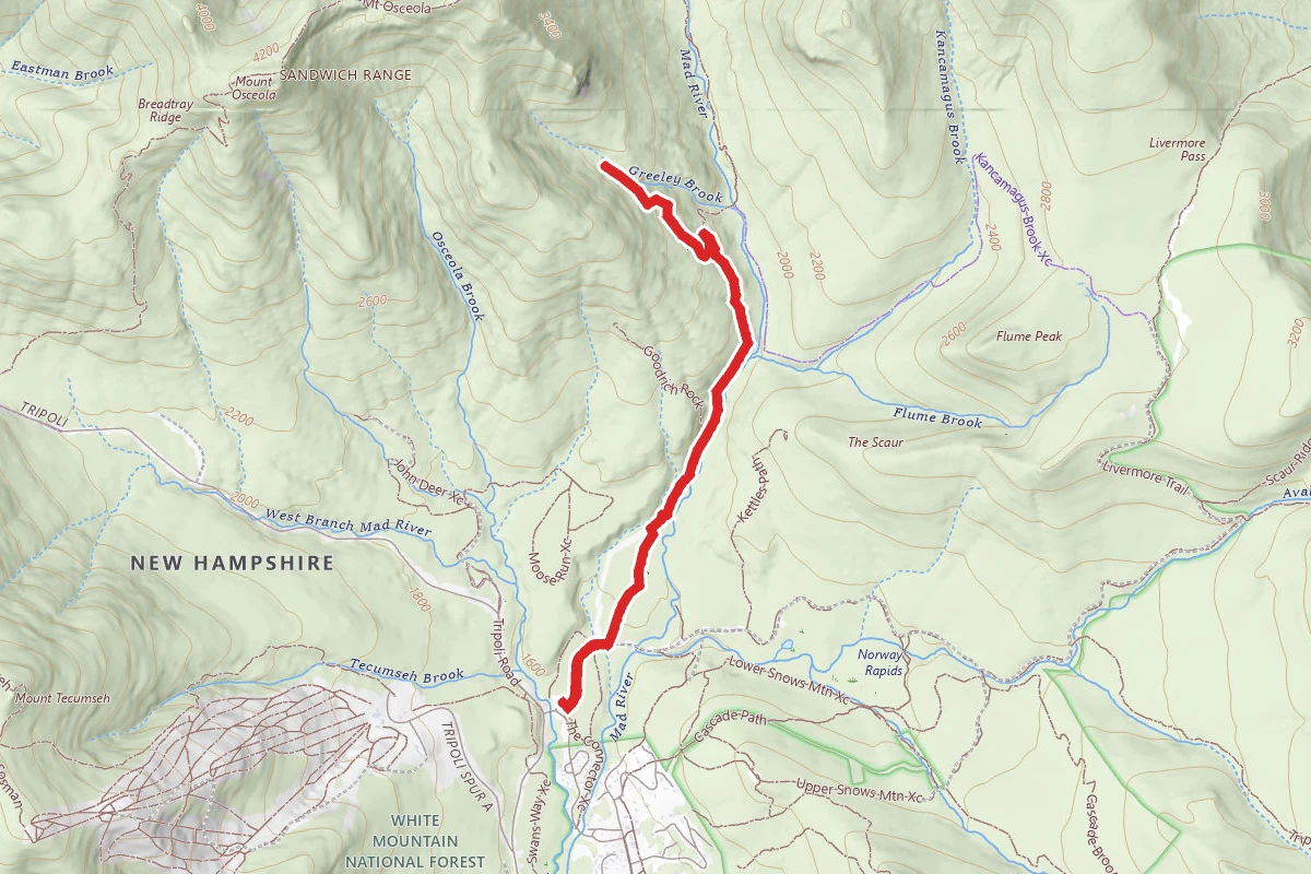 Timber Camp Trail