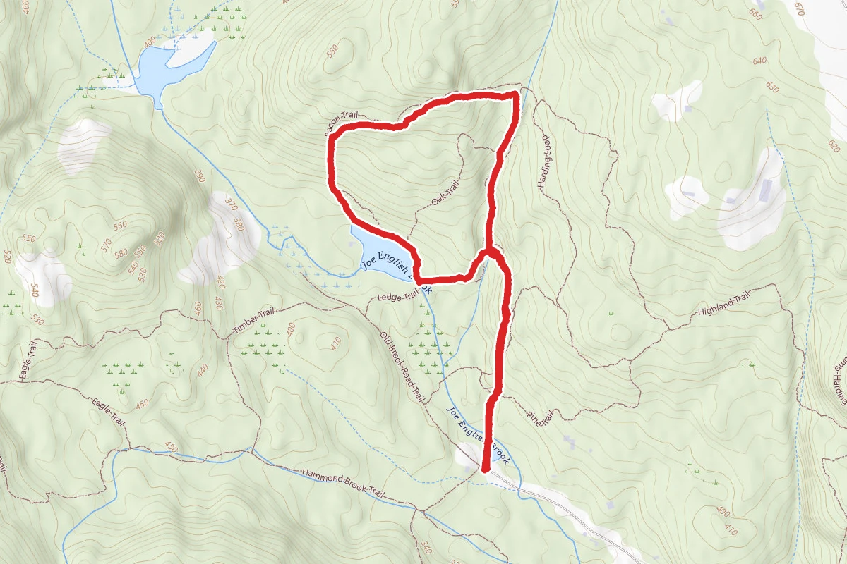 Pine Trail and Bacon Trail Loop