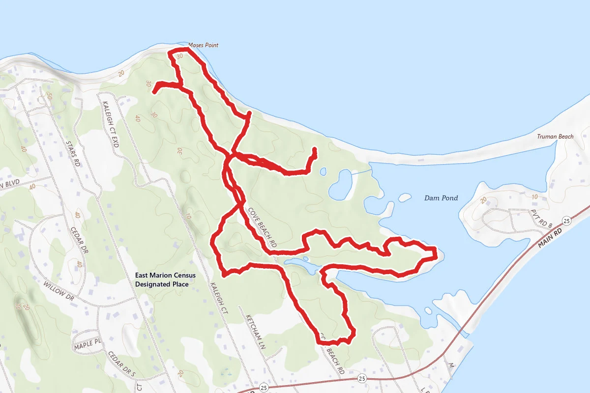 Dam Pond Trail