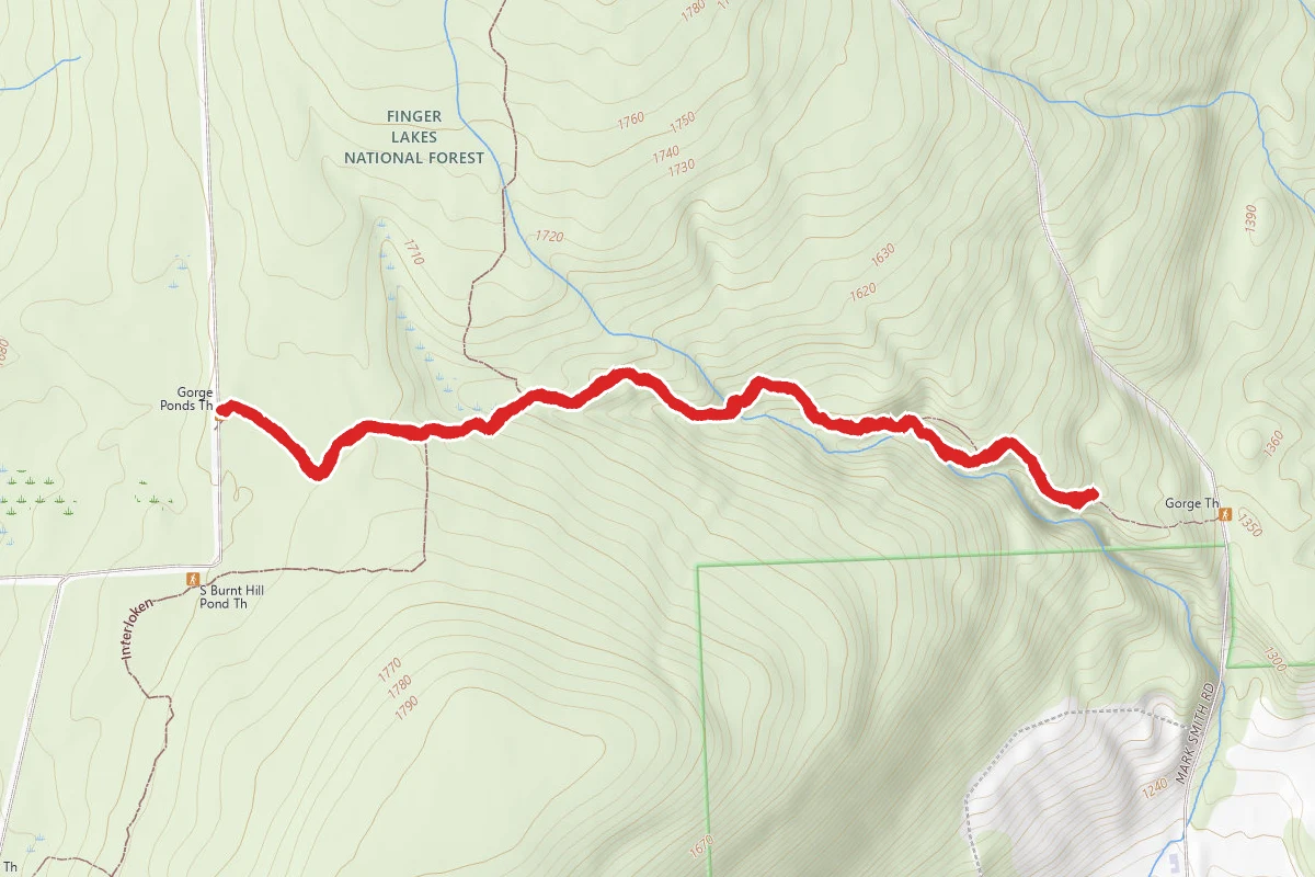 Finger Lakes Gorge Trail
