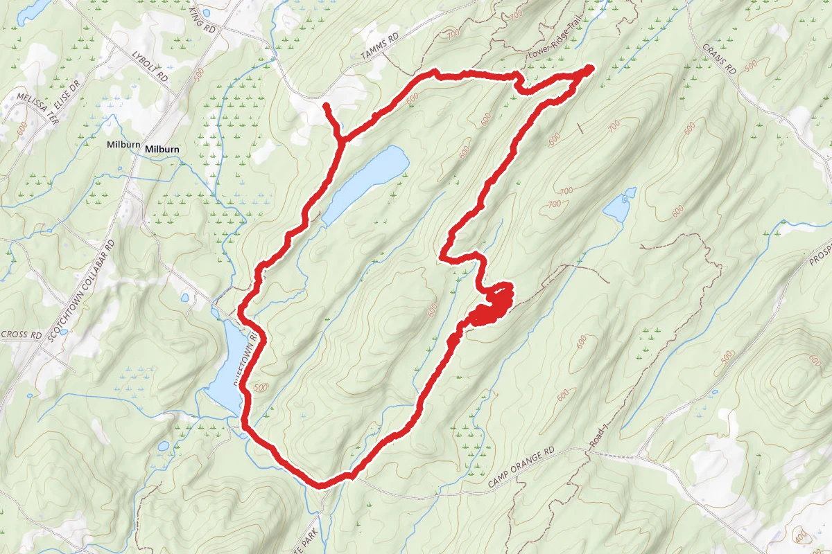 Tamms Pond, Highland Lake and Beaver Pond Loop