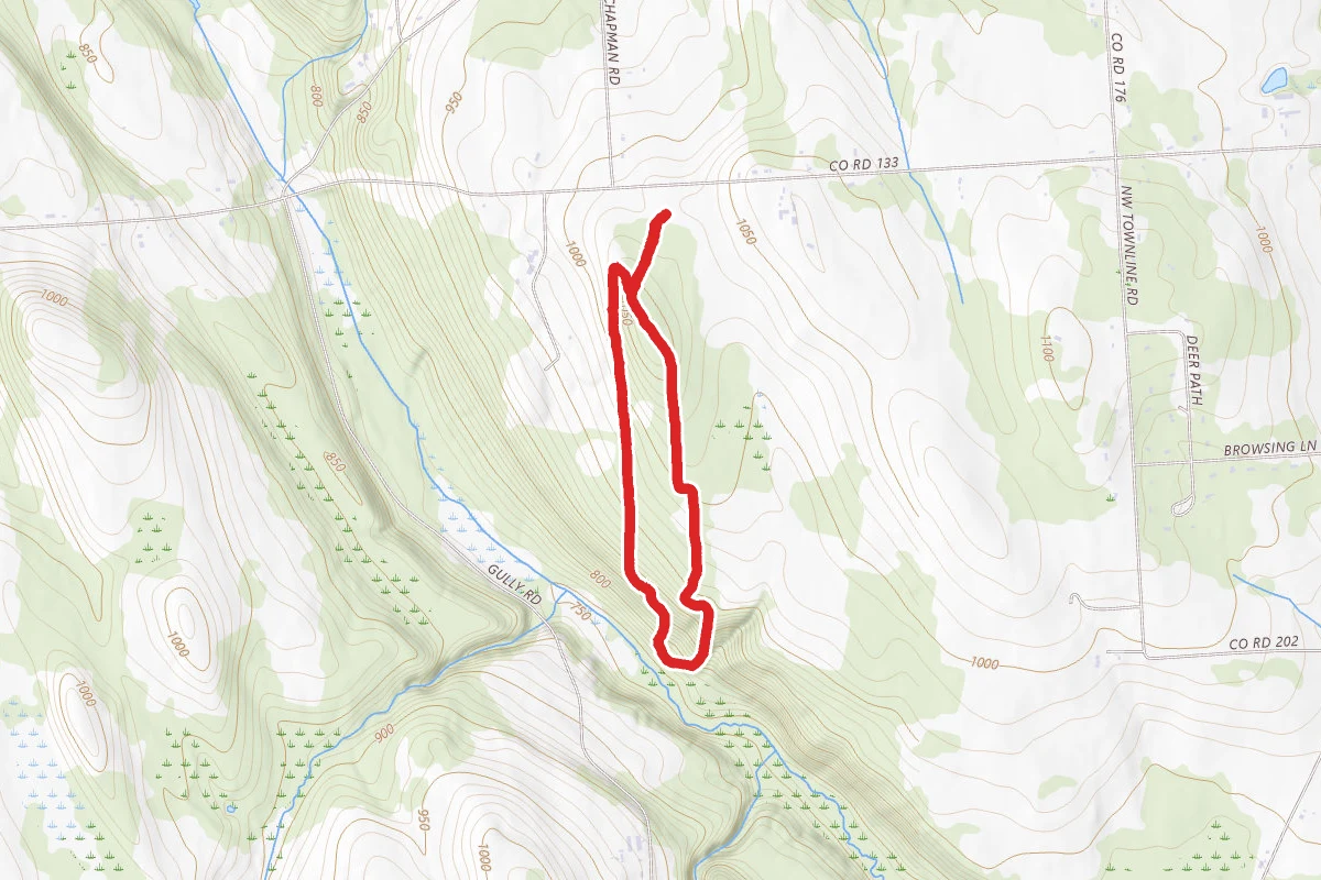 Scout Field and Back Loop Trail