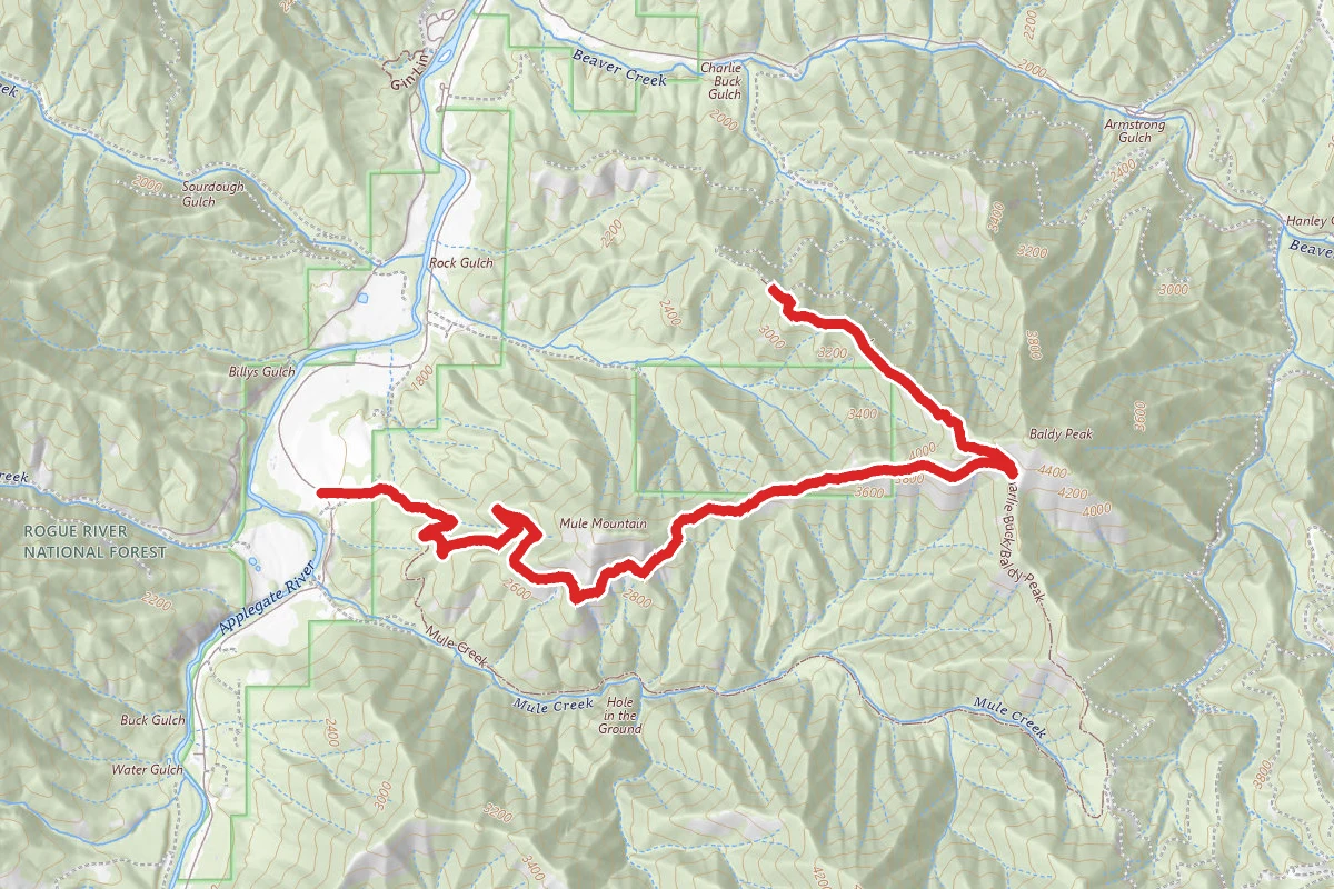 Charlie Buck Baldy Peak to Mule Mountain Trail