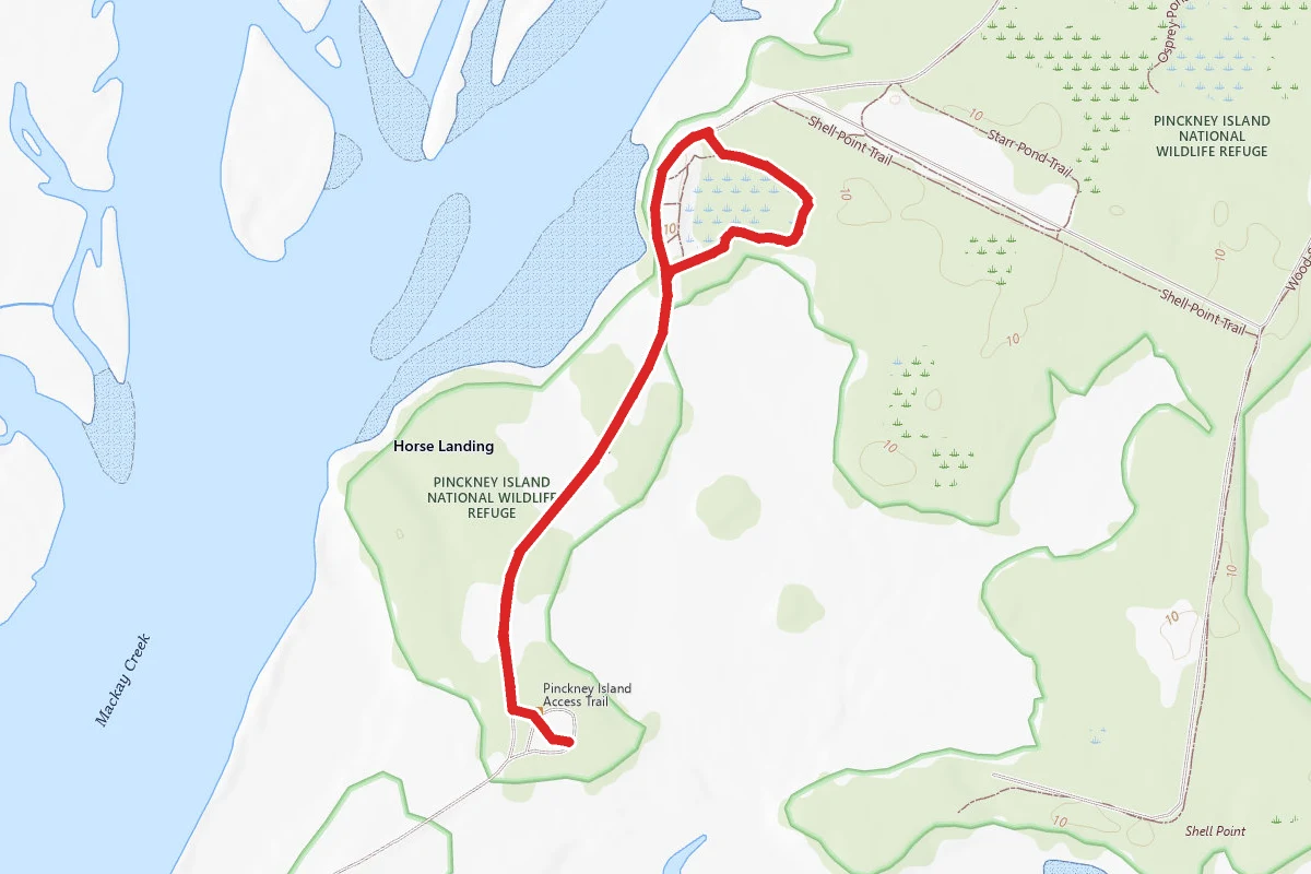 Ibis Pond Loop