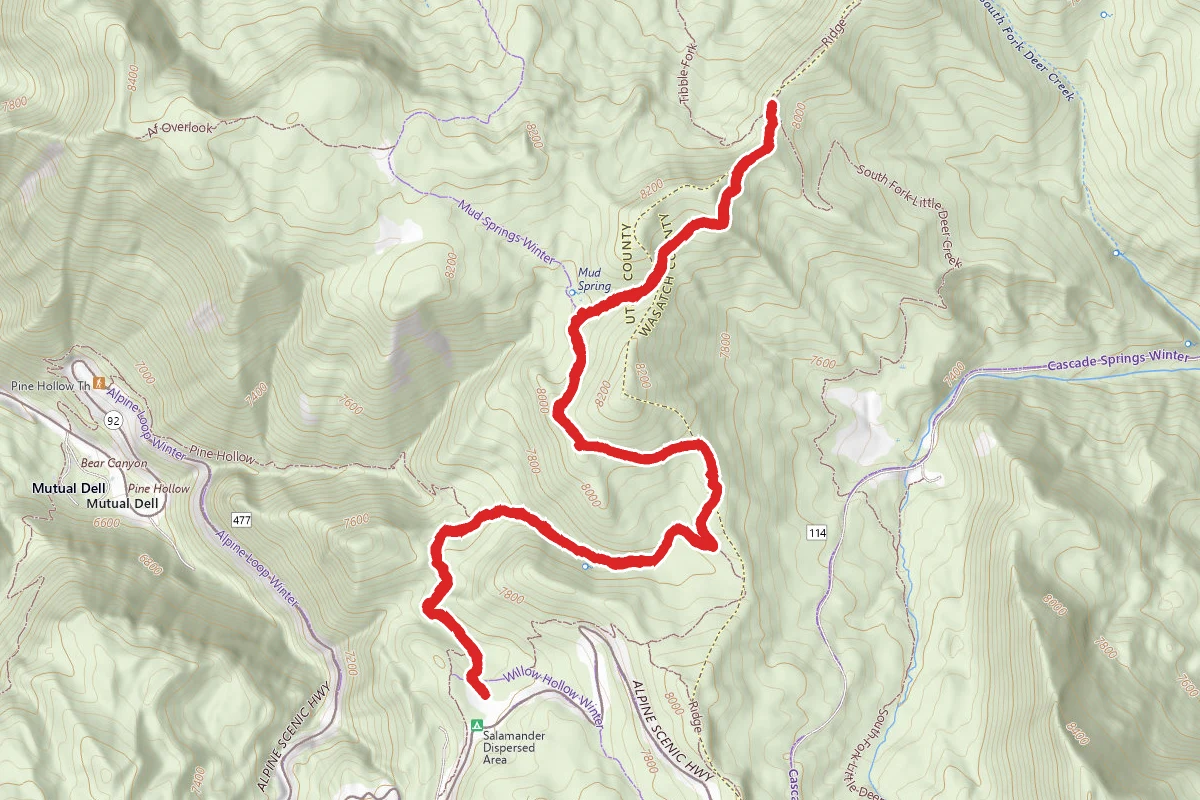 Pine Hollow and Ridge Trail 157