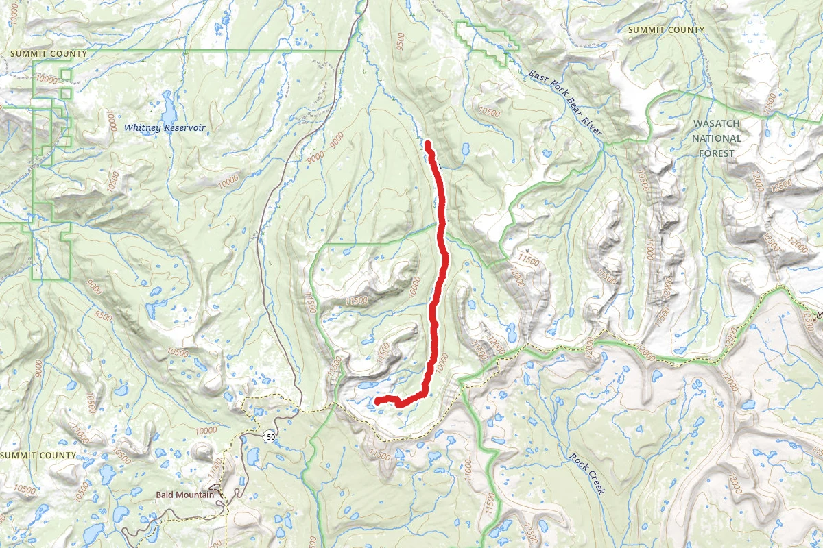 Ryder Lake Trail
