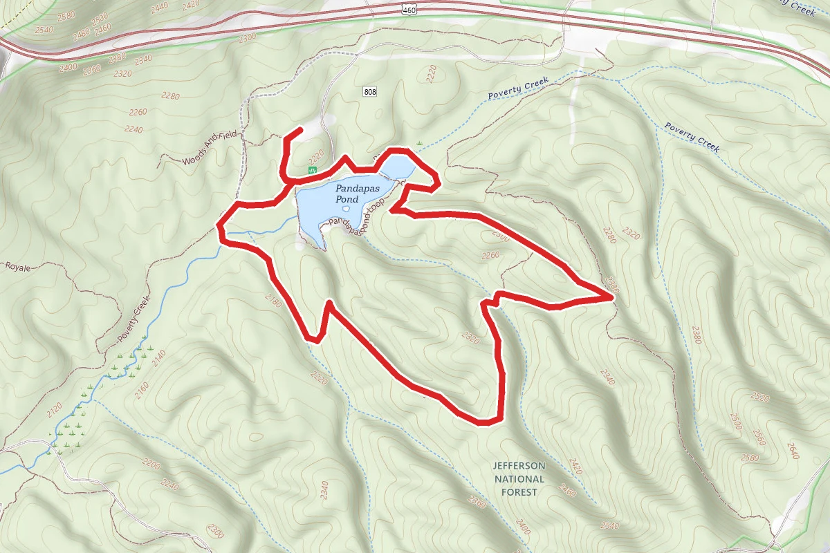 Ladyslipper, Joe Pye and Poverty Creek Trail Loop