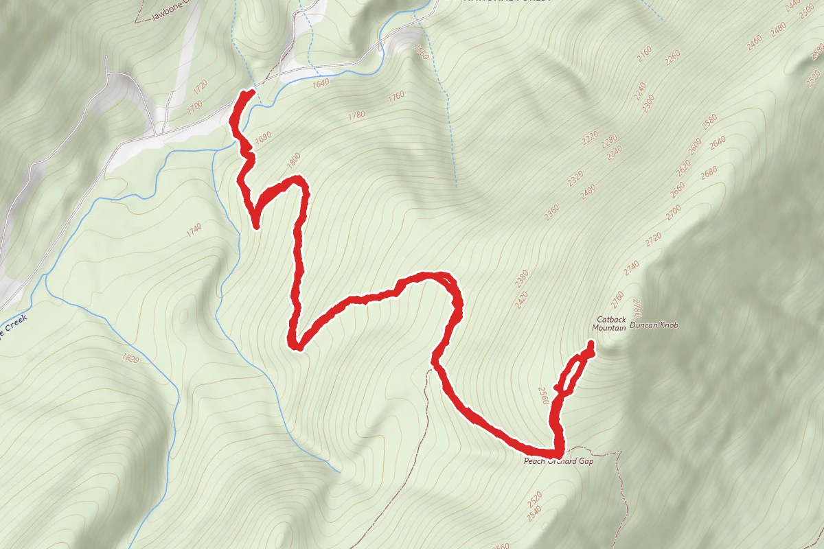Gap Creek Trail to Duncan Knob